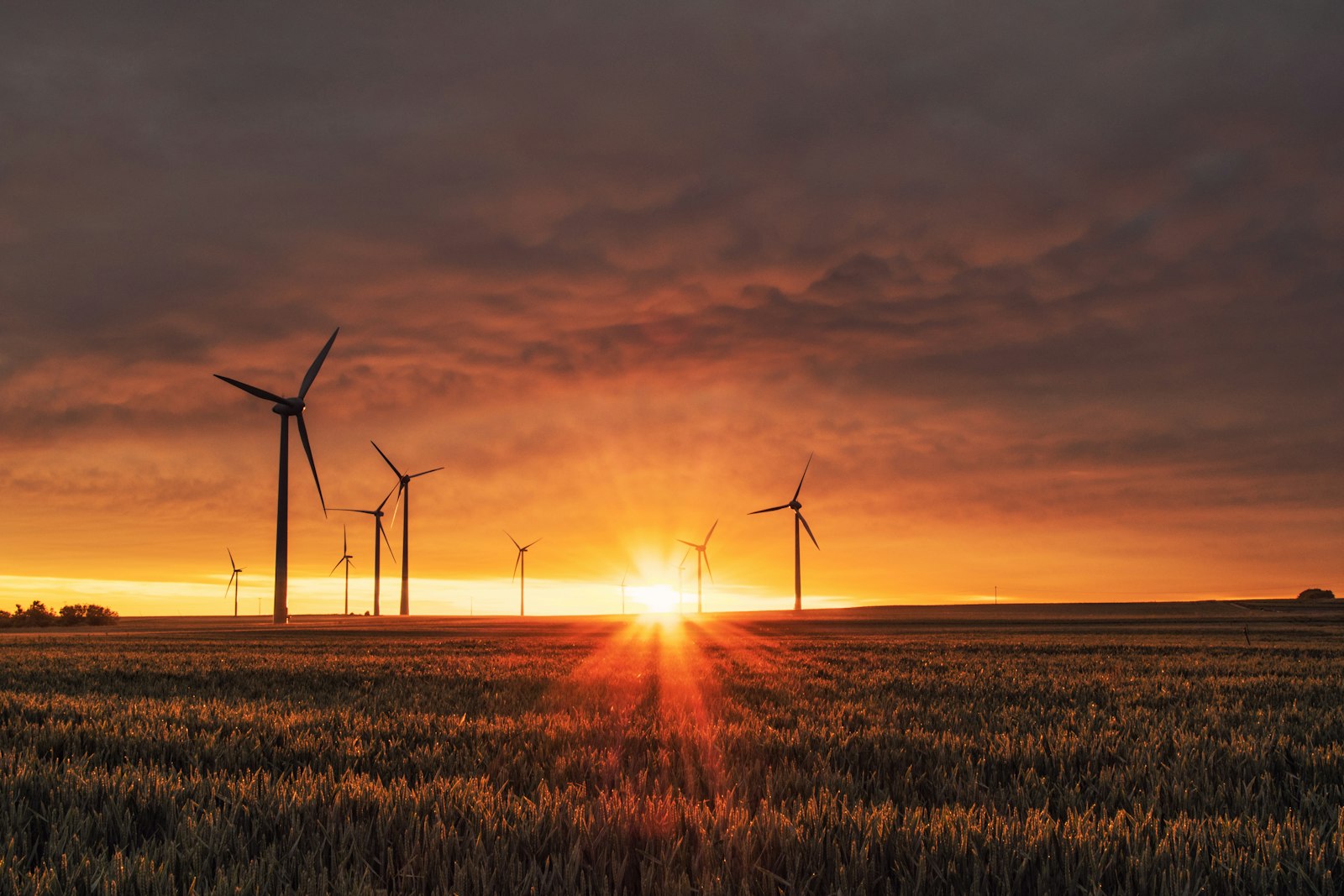 Wind farm at sunset over the golden fields of inland Spain